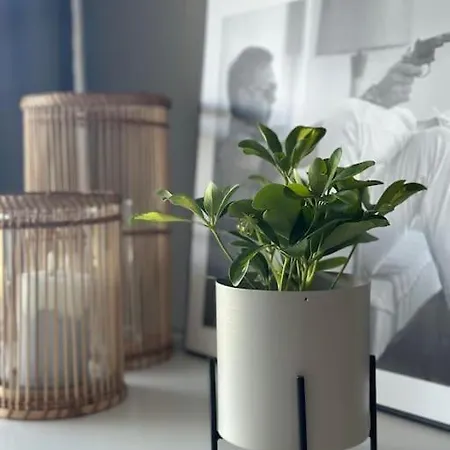 For Rent During Ons Less Than 100m From The Exhibition Area Stavanger