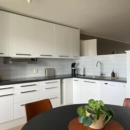 For Rent During Ons Less Than 100m From The Exhibition Area 公寓 斯塔万格
