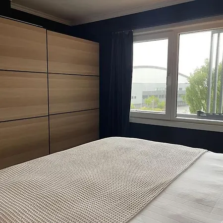 For Rent During Ons Less Than 100m From The Exhibition Area